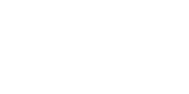 American Capacity Project